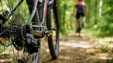 Rajd przez Wielkopolski Park Narodowy. Harcerze zdobywali specjalności