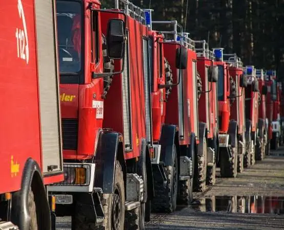 Wielkopolscy strażacy ćwiczą gaszenie pożarów lasów w ramach Puszcza 2025