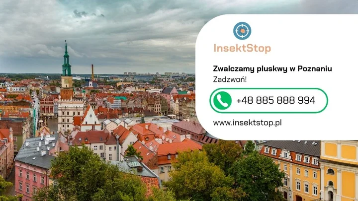 6-poznan-kontakt-do-firmy-insektstop-20250912080023.webp