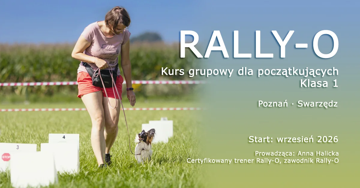 Grafika promocyjna wydarzenia Kurs Rally-O dla początkujących - Poznań: trening z psem