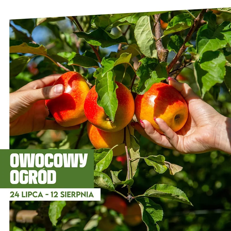 Grafika promocyjna wydarzenia Owocowy ogród w Poznań Plaza: atrakcje