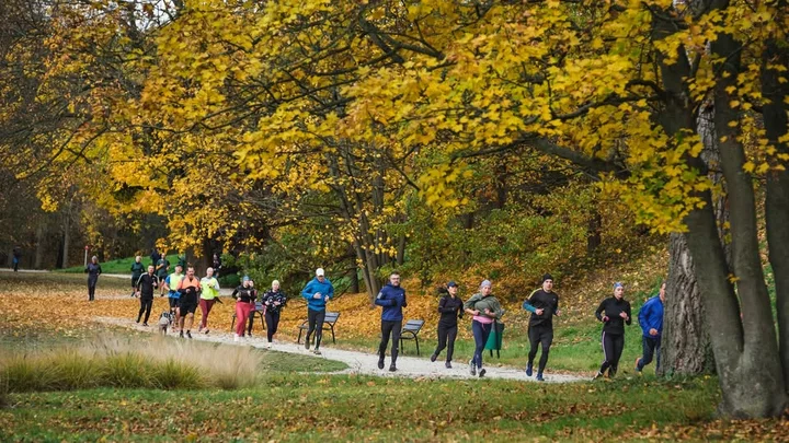 Grafika promocyjna wydarzenia parkrun Poznań #631 – Cytadela, 1 listopada 2025
