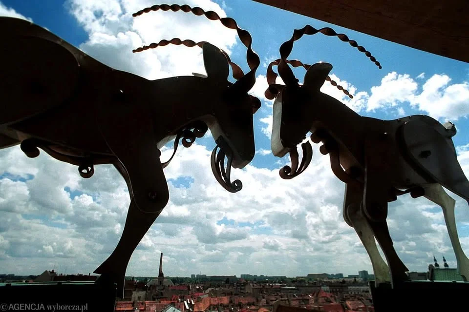 Grafika promocyjna wydarzenia Poznań. Warsztaty śpiewu białego OVO – weekend z głosem