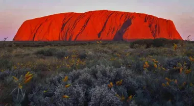 Grafika promocyjna wydarzenia Didgeridoo Sound Meditation w Poznaniu – medytacja dźwiękiem didgeridoo