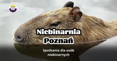 Grafika promocyjna wydarzenia Niebinarnia Poznań – spotkanie osób niebinarnych