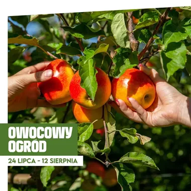 Grafika promocyjna wydarzenia Owocowy ogród w Poznań Plaza: atrakcje
