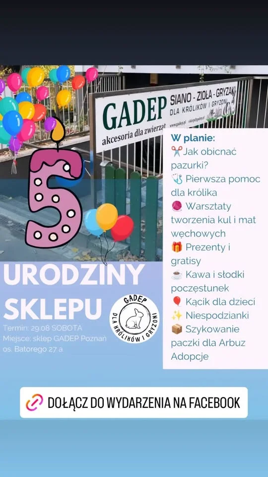 Grafika promocyjna wydarzenia URODZINY GADEP POZNAŃ: warsztaty i atrakcje