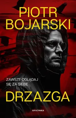 Poznańskie Zawady skrywają tajemnicę. „Drzazga” prowadzi śledztwo