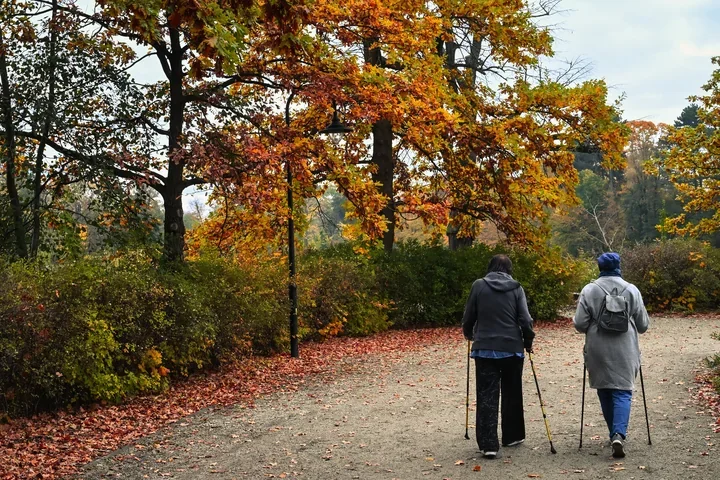 Na Ratajach rusza cykl warsztatów dla seniorów – rozmowy, trening pamięci, psychoedukacja