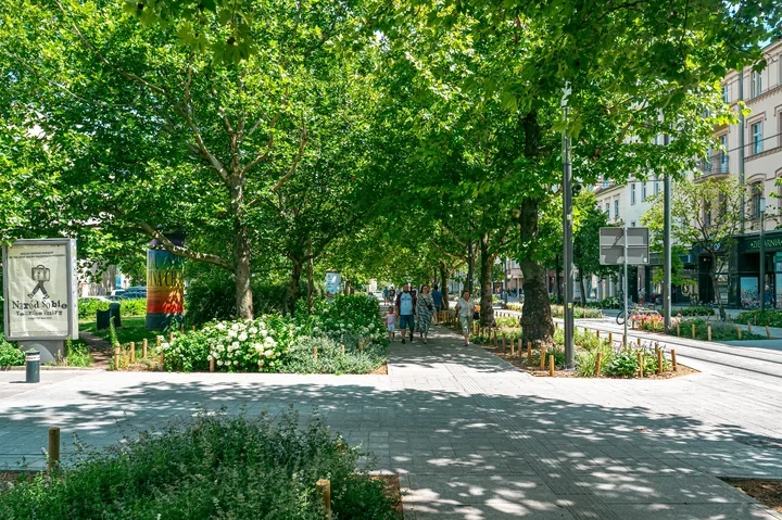 Konsultacje wracają do centrum Poznania. Stawką są widoki i zabudowa