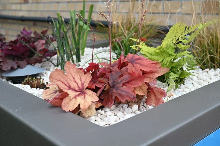 Deszczówka w kanalizacji to kosztowny błąd, a Poznań stawia na retencję