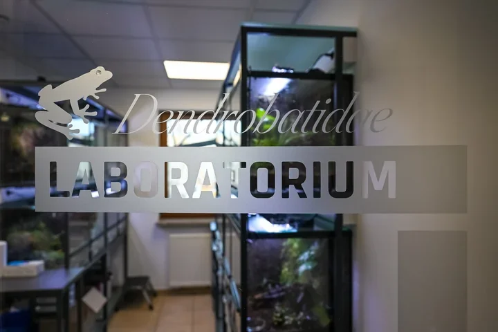 W Starym Zoo powstało Laboratorium Drzewołazów – miejsca dla ginących żab