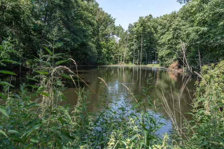 Poznań nie czeka na deszcz i uczy się zatrzymywać każdą kroplę