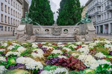 Fontanna z delfinami odzyskała dawny blask dzięki wapieniowi i nowym dyszom