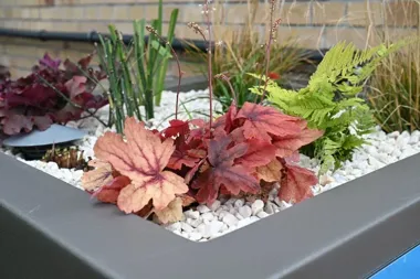 Deszczówka w kanalizacji to kosztowny błąd, a Poznań stawia na retencję