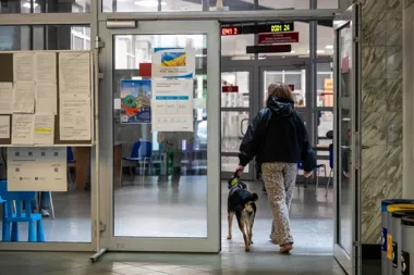 Po wycieku danych Poznań ułatwia zastrzeganie numeru PESEL