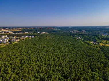 Poznań pokazuje klimat w liczbach, które przypominają o zmianie na własnym podwórku