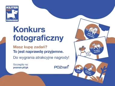 Poznański konkurs nagrodzi 24 zdjęcia o sprzątaniu po psach