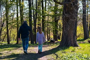 Mikrodotacje otwierają drzwi dla seniorów. W puli jest 150 tys. zł