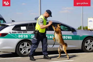 Psy służbowe i symulacja wypadku. W Poznaniu szykują duże warsztaty bezpieczeństwa