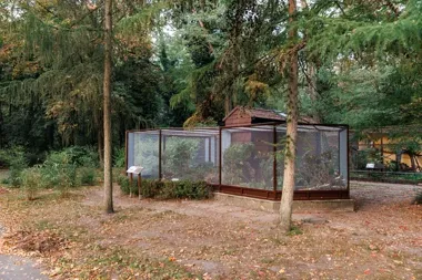 Nowy dom dla norek, łasic i mangusteczek. Zoo zadbało o dostępność
