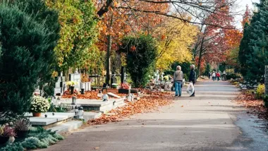 Przy poznańskich cmentarzach będą zwężenia. Komunikacja miejska pojedzie bez opłat