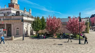 Poznań bez barier. Coraz więcej miejsc działa dla każdego