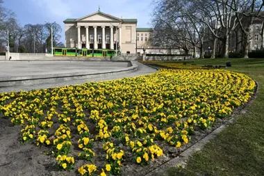 Poznań zaczyna wiosnę od tysięcy kwiatów i prośby o szacunek dla zieleni
