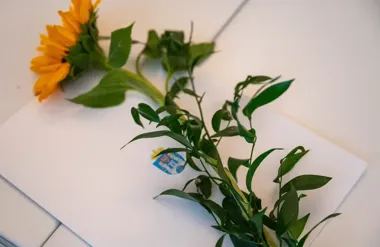 Poznań znów szuka olimpijskich talentów – stypendium czeka na najlepszych