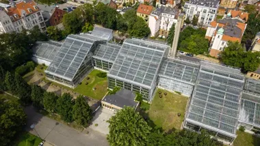 Palmiarnia Poznańska przejdzie wielką przebudowę. Powrót zwiedzających etapami