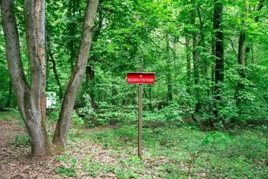Morasko pod lupą przewodnika. W rezerwacie czeka meteoryt i kratery