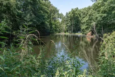 Poznań nie czeka na deszcz i uczy się zatrzymywać każdą kroplę