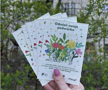 Poznaniacy mogą jeszcze zgłosić podwórko do metamorfozy