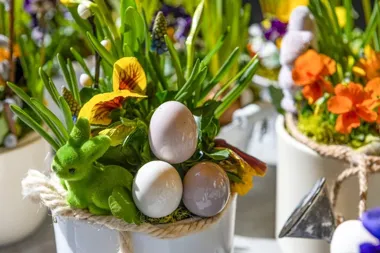 W świąteczny weekend Poznań nie zamyka się w domu i szykuje pełen plan aktywności