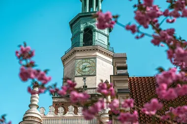 Majowe kadry z Poznania w konkursie. Do wygrania 1000 zł i miejsce na stronie głównej