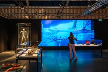 Ponad 160 ludzkich ciał i narządów w Poznaniu. Body Worlds wraca z nową wystawą