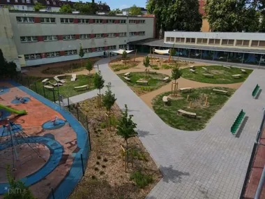 Szkolny teren zmienił się w zieloną wyspę. W centrum Poznania przybyło życia