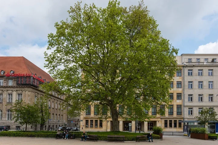 Plac Wolności na dwa dni odcina ruch, bo po awarii wraca nawierzchnia