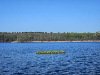 Zielona wyspa na Strzeszyńskim ma ograniczać zakwit wody latem