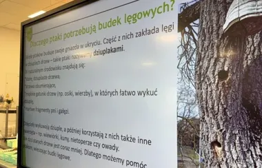 W Cerekwicy powstały ptasie domki, a uczniowie od razu zawiesili je w lesie