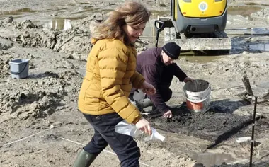 Starożytna studnia z IV wieku odkryta podczas prac przy stawie w Chomęcicach