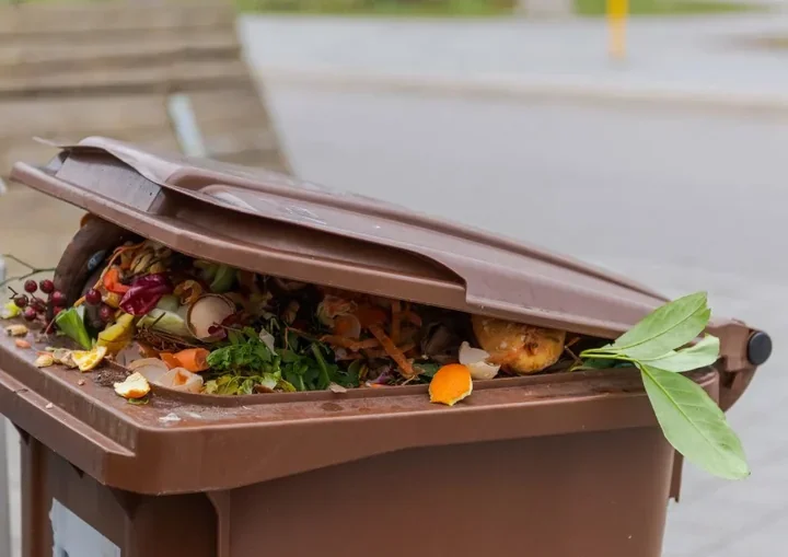 Brązowy pojemnik nie przyjmuje wszystkiego. Tych odpadów lepiej nie mylić