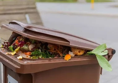 Brązowy pojemnik nie przyjmuje wszystkiego. Tych odpadów lepiej nie mylić