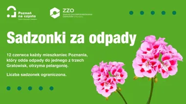 Pelargonia za odpady w Poznaniu. Gratowiska przygotowały ekologiczną akcję