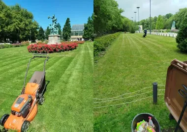 Park Wilsona nie daje się brudowi – codzienna praca, której nie widać