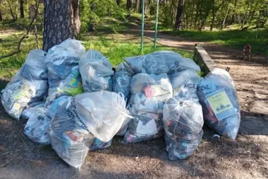 47 ton odpadów zebrano w Poznaniu. Szkoły, firmy i harcerze ruszyli do pracy