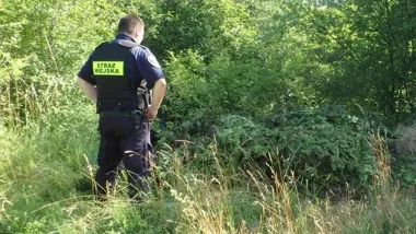 Niosła worki do zagajnika przy Forcie. Strażnicy udaremnili dzikie wysypisko