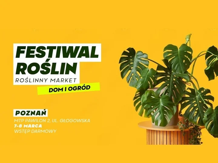 Festiwal roślin na MTP – dwa dni z rzadkimi okazami, kolekcjonerskimi gatunkami i wstępem wolnym
