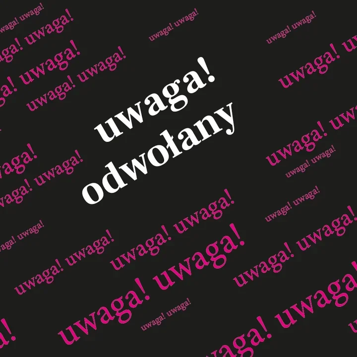 Jubileuszowy koncert Kayah odwołany. Bilety można zwracać
