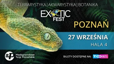 Gady, ptaszniki i tropikalne rośliny. Exotic Fest w Poznaniu